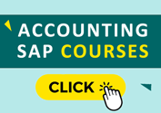 Sinet Accounting Courses